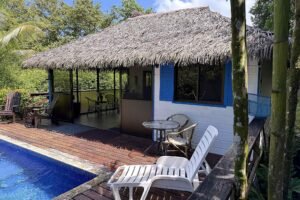 1-Bedroom Jungle Home with Private Pool in Ojochal Costa Rica-01 (3)