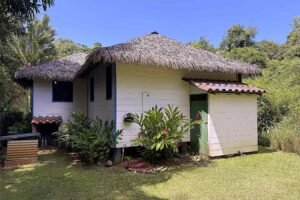 1-Bedroom Jungle Home with Private Pool in Ojochal Costa Rica-01 (30)