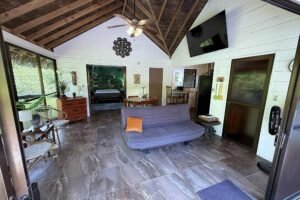 1-Bedroom Jungle Home with Private Pool in Ojochal Costa Rica-01 (8)