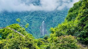 120016 – San Salvador Property 02