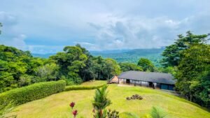 120016 – San Salvador Property 03