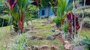 120016 – San Salvador Property 23