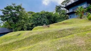 120016 – San Salvador Property 25
