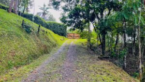 120016 – San Salvador Property 44
