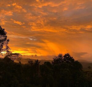 120016 – San Salvador Property 50