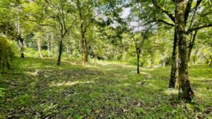 160002 – Lot for sale in Tres Rios 01