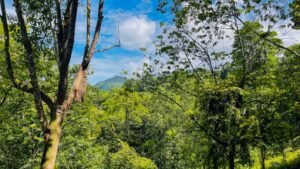 160002 – Lot for sale in Tres Rios 02