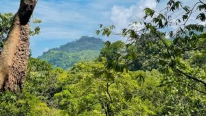 160002 – Lot for sale in Tres Rios 03