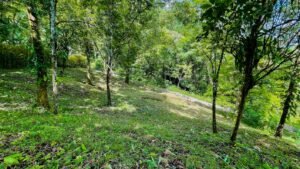 160002 – Lot for sale in Tres Rios 04