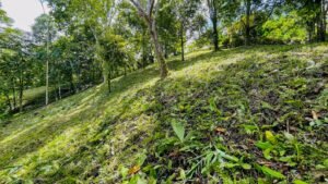 160002 – Lot for sale in Tres Rios 09