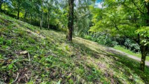160002 – Lot for sale in Tres Rios 11