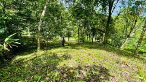 160002 – Lot for sale in Tres Rios 12
