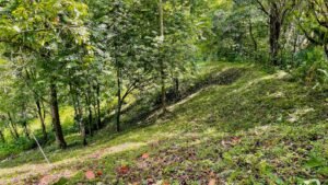 160002 – Lot for sale in Tres Rios 13