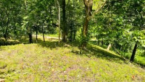 160002 – Lot for sale in Tres Rios 14