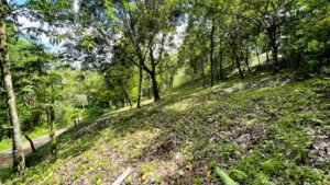 160002 – Lot for sale in Tres Rios 15
