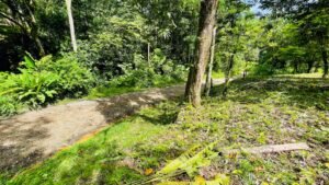 160002 – Lot for sale in Tres Rios 16