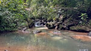 160002 – Lot for sale in Tres Rios 19