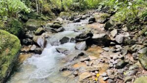 160002 – Lot for sale in Tres Rios 20