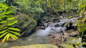 160002 – Lot for sale in Tres Rios 21
