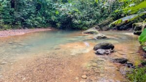 160002 – Lot for sale in Tres Rios 22