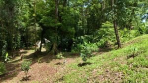 2-Bedroom Home for Sale Near Uvita Riverfront Property – 200649 (10)
