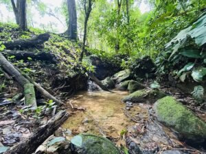2-Bedroom Home for Sale Near Uvita Riverfront Property – 200649 (11)