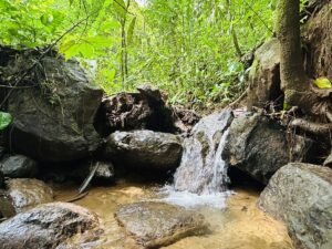2-Bedroom Home for Sale Near Uvita Riverfront Property – 200649 (14)
