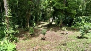 2-Bedroom Home for Sale Near Uvita Riverfront Property – 200649 (16)