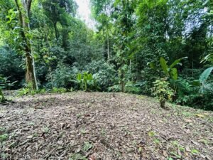 2-Bedroom Home for Sale Near Uvita Riverfront Property – 200649 (2)