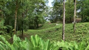 2-Bedroom Home for Sale Near Uvita Riverfront Property – 200649 (3)