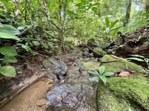 2-Bedroom Home for Sale Near Uvita Riverfront Property – 200649 (3)