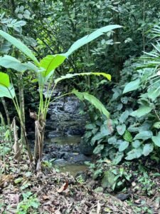 2-Bedroom Home for Sale Near Uvita Riverfront Property – 200649 (5)