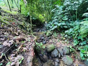 2-Bedroom Home for Sale Near Uvita Riverfront Property – 200649 (6)