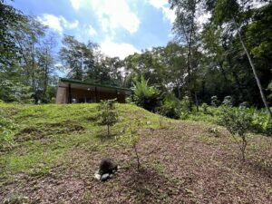 2-Bedroom Home for Sale Near Uvita Riverfront Property – 200649 (8)