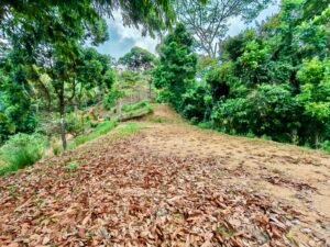 24.7-Acre Ocean View Property in San Cristóbal de Aguirre Near Quepos – 201313 (10)