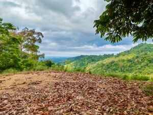 24.7-Acre Ocean View Property in San Cristóbal de Aguirre Near Quepos – 201313 (11)
