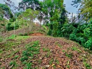 24.7-Acre Ocean View Property in San Cristóbal de Aguirre Near Quepos – 201313 (12)