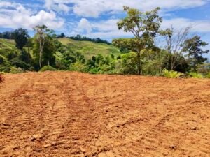 24.7-Acre Ocean View Property in San Cristóbal de Aguirre Near Quepos – 201313 (13)