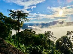 24.7-Acre Ocean View Property in San Cristóbal de Aguirre Near Quepos – 201313 (14)