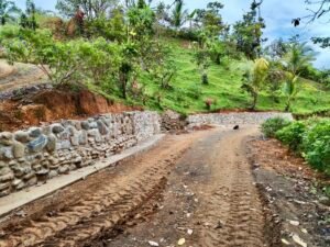 24.7-Acre Ocean View Property in San Cristóbal de Aguirre Near Quepos – 201313 (15)