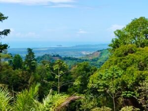 24.7-Acre Ocean View Property in San Cristóbal de Aguirre Near Quepos – 201313 (19)