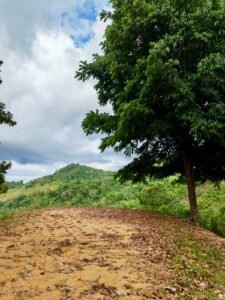 24.7-Acre Ocean View Property in San Cristóbal de Aguirre Near Quepos – 201313 (22)