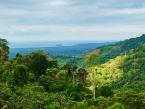 24.7-Acre Ocean View Property in San Cristóbal de Aguirre Near Quepos – 201313 (23)