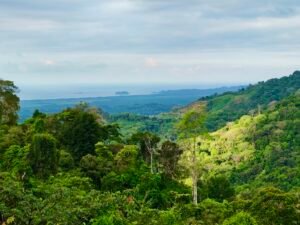 24.7-Acre Ocean View Property in San Cristóbal de Aguirre Near Quepos – 201313 (24)