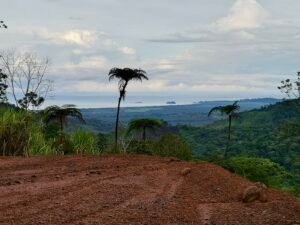 24.7-Acre Ocean View Property in San Cristóbal de Aguirre Near Quepos – 201313 (25)