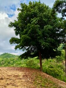 24.7-Acre Ocean View Property in San Cristóbal de Aguirre Near Quepos – 201313 (26)