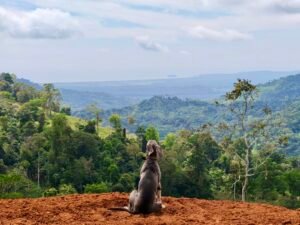 24.7-Acre Ocean View Property in San Cristóbal de Aguirre Near Quepos – 201313 (27)