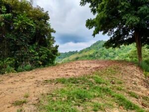 24.7-Acre Ocean View Property in San Cristóbal de Aguirre Near Quepos – 201313 (4)