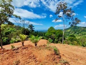 24.7-Acre Ocean View Property in San Cristóbal de Aguirre Near Quepos – 201313 (6)