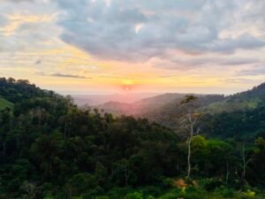 24.7-Acre Ocean View Property in San Cristóbal de Aguirre Near Quepos – 201313 (7)